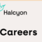 Halcyon Careers