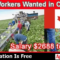 farmworker-canada