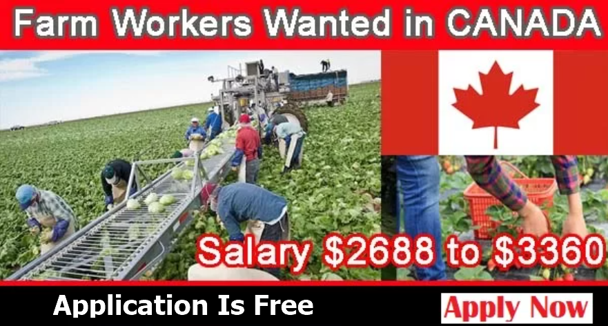 farmworker-canada