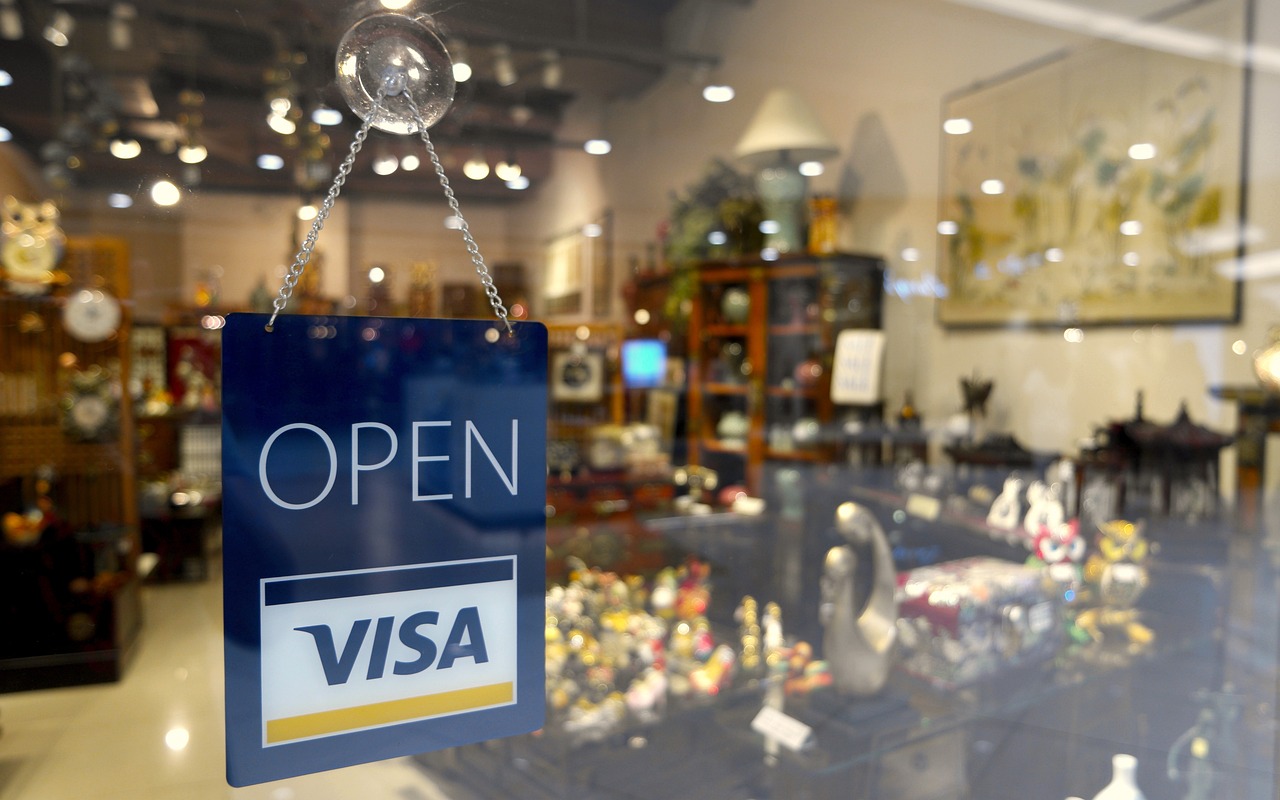 Visa Credit Card Application